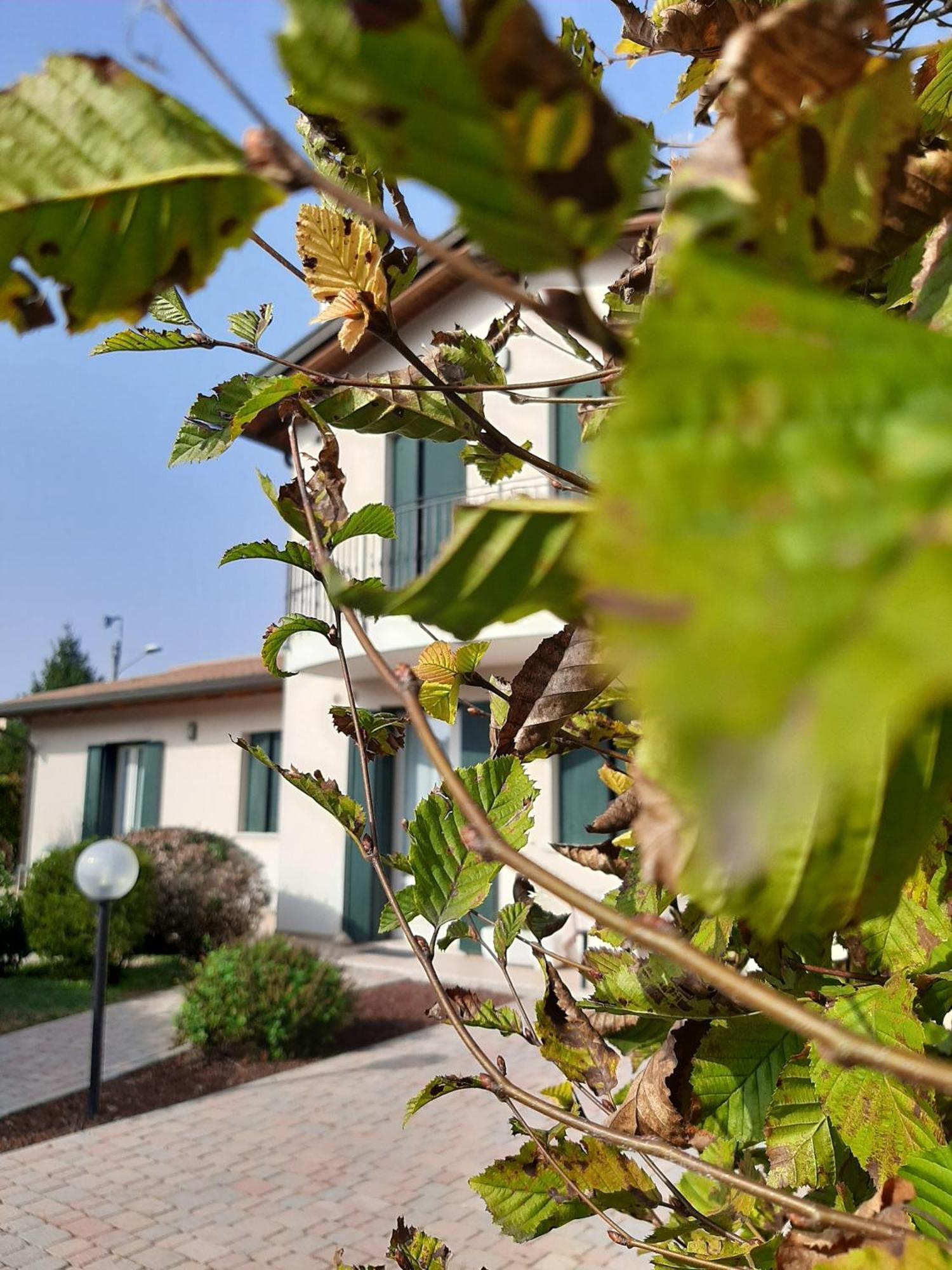 Casa Di Clara Hotel Portogruaro Ngoại thất bức ảnh